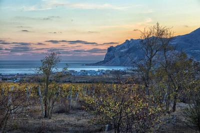 Прикрепленное изображение: IMG_9376ми.jpg